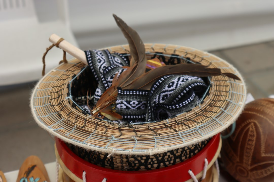 Visual illustration for kutu landak mini